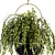 Indoor Oasis: Hanging Plant Set 3D model small image 2