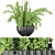 126 Plant Collection: High-Quality, Lightweight Volume 3D model small image 1