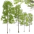 European Aspen Tree Set - Quaking Aspen, Populus Tremula 3D model small image 2