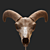 Eerie Goat Skull Décor 3D model small image 2