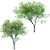 Versatile Poly Tree for Landscaping 3D model small image 1