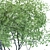Versatile Poly Tree for Landscaping 3D model small image 3