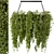 Metal Box Indoor Hanging Plants - Set 82 3D model small image 1