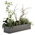  Lush Greenery Box - Indoor Plant Set 3D model small image 1