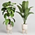 Elegant Wood Vase Collection: 30 Indoor Plants 3D model small image 3
