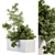 Nature's Oasis: Outdoor Plant Box Set 3D model small image 2