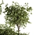192 Indoor Plant Set - Tree in Pot 3D model small image 3