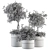 192 Indoor Plant Set - Tree in Pot 3D model small image 5