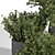 Outdoor Tree 05: Lifelike and Beautiful 3D model small image 4