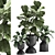 Tropical Ficus Collection: Exotic Plants for Indoor and Outdoor Decor 3D model small image 1