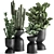 Tropical Plant Collection: Exotic Ficus, Cactus, and Zamioculcas in Stylish Black Pots 3D model small image 1