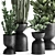 Tropical Plant Collection: Exotic Ficus, Cactus, and Zamioculcas in Stylish Black Pots 3D model small image 2