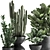 Tropical Plant Collection: Exotic Ficus, Cactus, and Zamioculcas in Stylish Black Pots 3D model small image 3