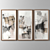 Elegant Collection of 3 Frames 3D model small image 1