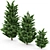 Tall Leyland Cypress Tree: 6m & 4.5m Varieties 3D model small image 3