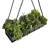 Hanging Indoor Plants Pot 3D model small image 3