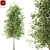 Quaking Aspen: Majestic 14M Height 3D model small image 1