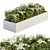 Beautiful White Flower Bush Set 3D model small image 1