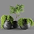 Botanical Beauty: Exquisite Plant Sculpture 3D model small image 1