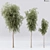 Premium Quality Detailed Tree 3D model small image 1