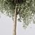 Premium Quality Detailed Tree 3D model small image 2