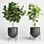 Marble Vase Collection: Indoor Plant 3D model small image 3