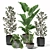 Tropical Plant Set: Sansevieria, Japanese Banana, Ficus, Pilea 3D model small image 1