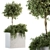 Green Oasis Outdoor Plant Set 3D model small image 1