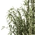 Tall Bamboo Set: Stunning Indoor Greenery! 3D model small image 3