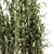 Tall Bamboo Set: Stunning Indoor Greenery! 3D model small image 4