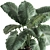 Exotic Plant Collection: Alocasia Macrorrhiza in Reclaimed Iron Coppa Pot 3D model small image 4