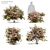 Double Play Spiraea: Vray Material, 4 Models 3D model small image 1