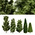 5 Evergreen Trees - Leyland Cypress, Slender Hinoki, Rocky Mountain - 4K Texture - 3D Models 3D model small image 1