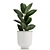 Tropical Plant Collection, White Pots 3D model small image 2