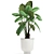 Tropical Plant Collection, White Pots 3D model small image 7