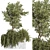Outdoor Bliss: Majestic Tree 06 3D model small image 1