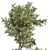 Outdoor Bliss: Majestic Tree 06 3D model small image 5