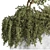 Outdoor Bliss: Majestic Tree 06 3D model small image 6