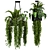 Metal Box Hanging Plants - Set 89 3D model small image 4