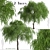 Chinese Elm Trees: Stunning Pair for your Garden! 3D model small image 2
