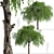 Chinese Elm Trees: Stunning Pair for your Garden! 3D model small image 5