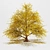 Autumnal Tree Pack: 2 Unique Trees 3D model small image 2