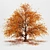 Autumnal Tree Pack: 2 Unique Trees 3D model small image 3