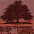 Autumnal Tree Pack: 2 Unique Trees 3D model small image 6