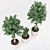 Premium Indoor Plant Decor 3D model small image 2