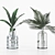 Indoor Plant Collection for any Space 3D model small image 2