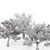  3 Distinctive Tree Models - American Beech, Sycamore, and Amur Cork 3D model small image 4