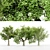  3 Distinctive Tree Models - American Beech, Sycamore, and Amur Cork 3D model small image 5