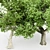  3 Distinctive Tree Models - American Beech, Sycamore, and Amur Cork 3D model small image 6
