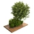 Garden Wood Pot Plant Collection 3D model small image 2